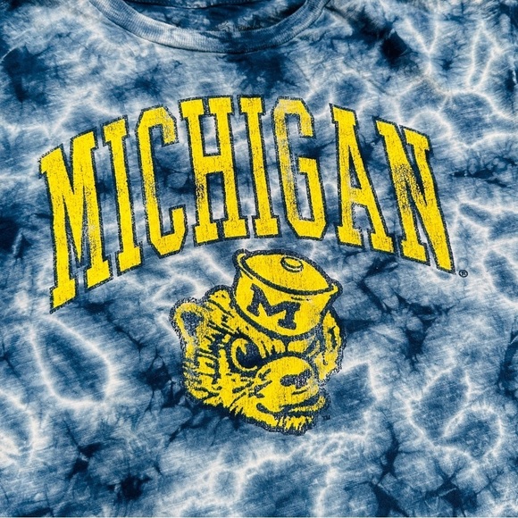 The Original Retro Brand U of Michigan Wolverines Tie Dye Crop Graphic T-shirt - Picture 2 of 6